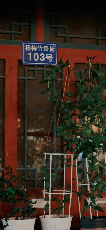 two potted plants and one bush are on the outside of an apartment building