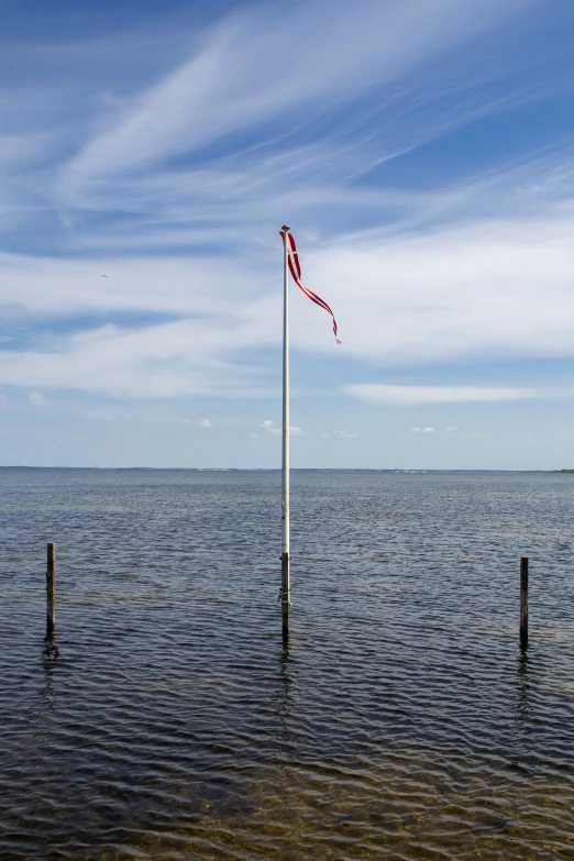 a flag on poles sticking out of the water