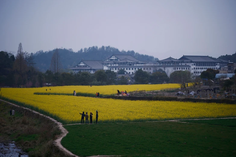 a large grassy field has a few people in it