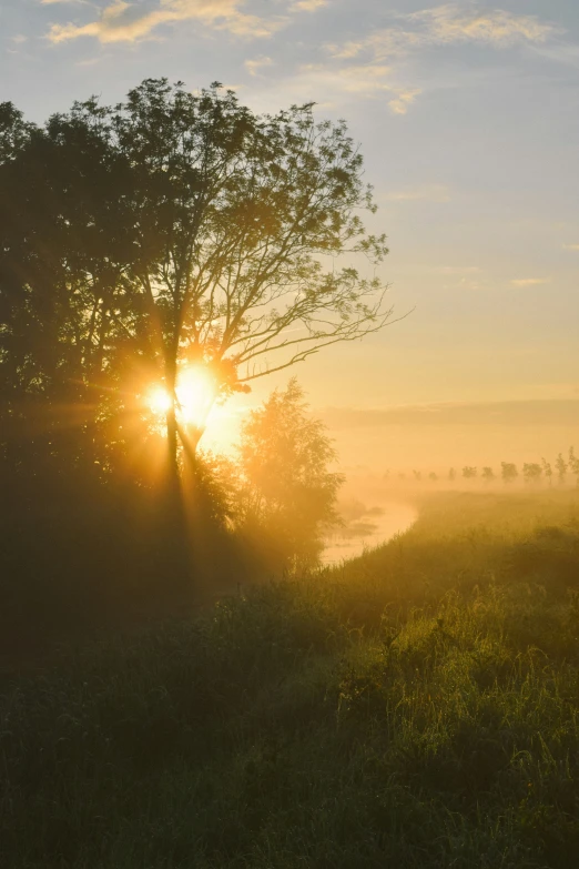 the sun is setting over the foggy area