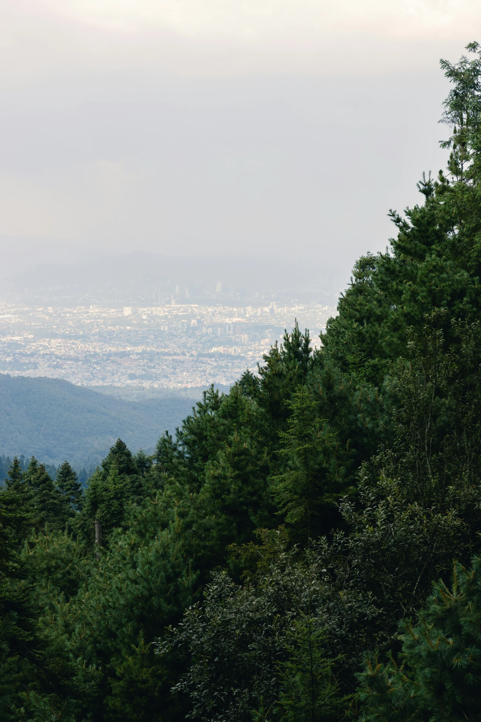 looking down on a wooded area towards distant city in the distance