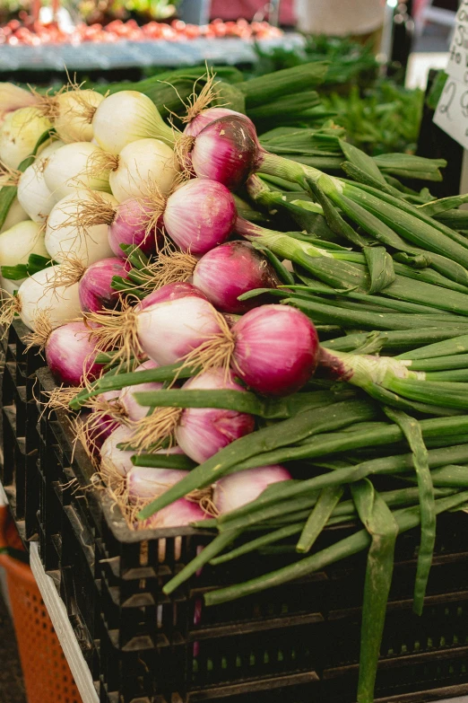 a bunch of onions on display in a market