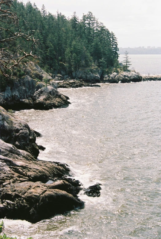 there is a large body of water near the shore