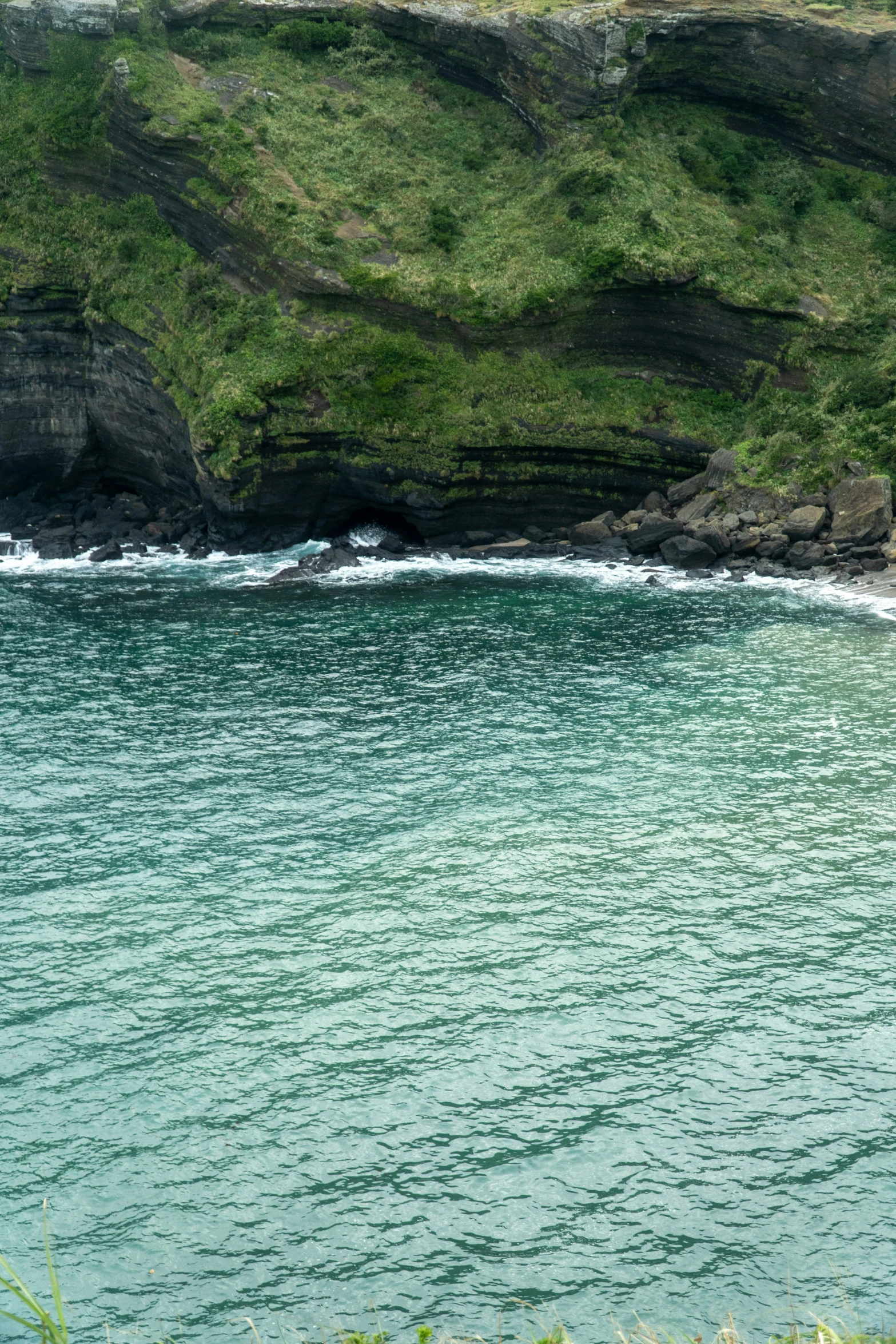 a black bear stands near the shore as it looks over the water