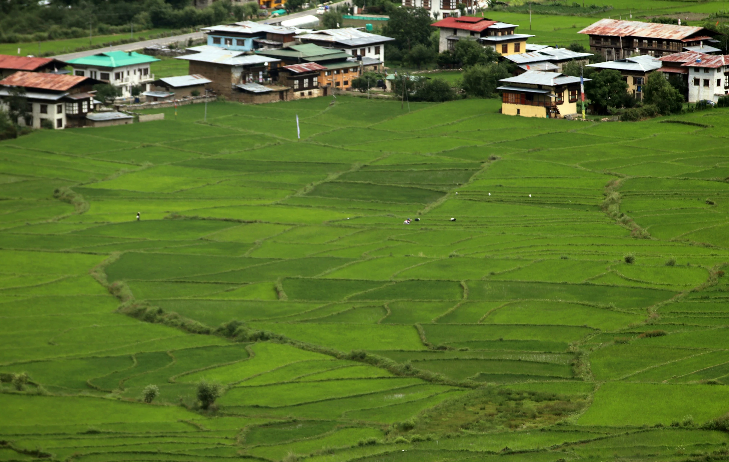 a grassy field is next to a small town