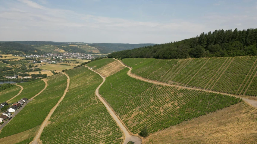 an aerial view of trees and a rural area