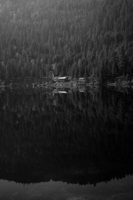 a large body of water sitting next to a forest