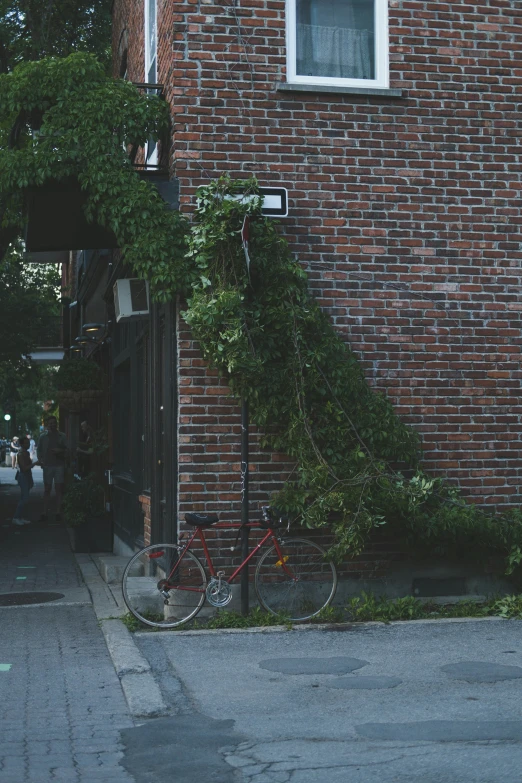 a bicycle is locked on a tree lined brick building