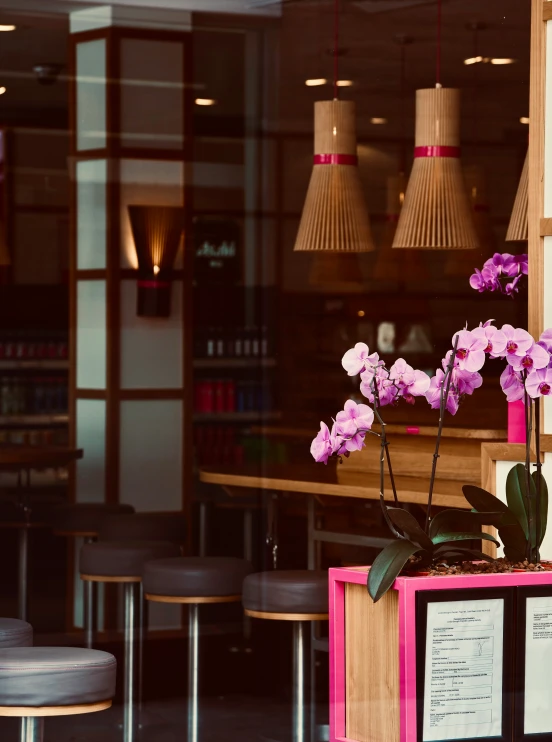 the flowers on the pink shelf in front of the tables have menus