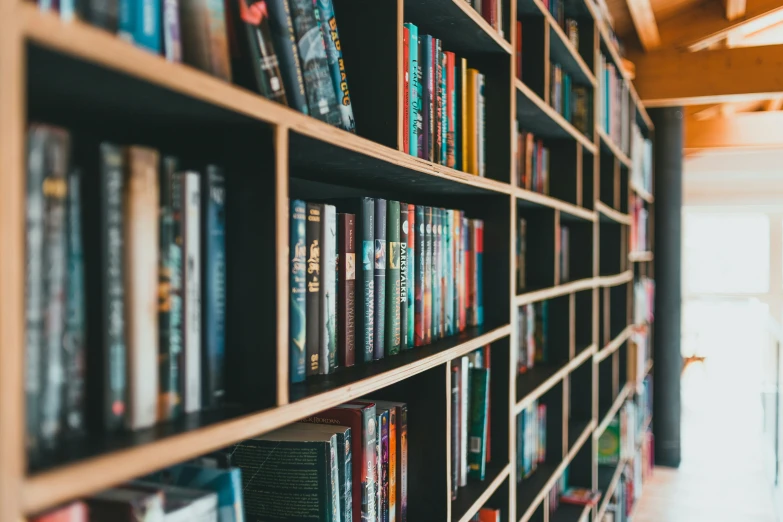 many books are displayed on an organized shelf