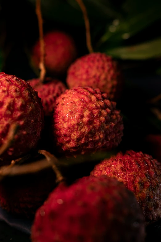 a bunch of red fruit with green leaves