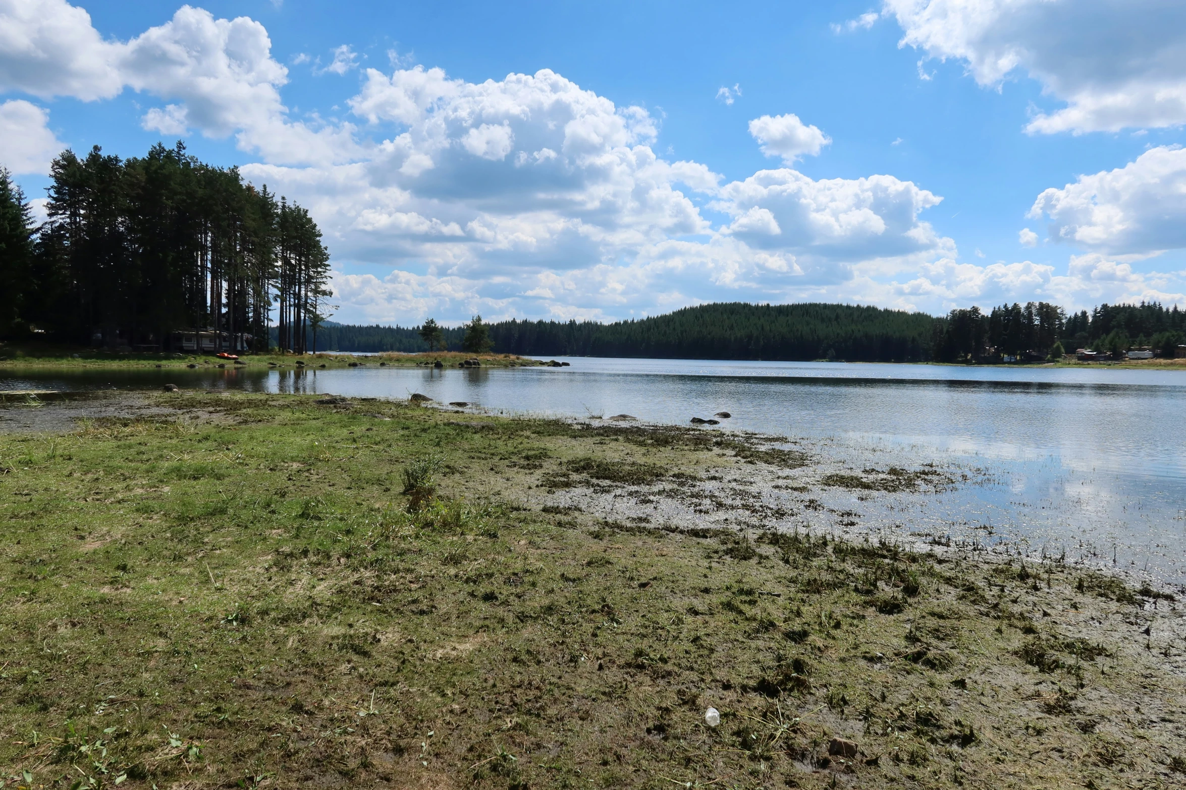 a lake is full of murky water during the day