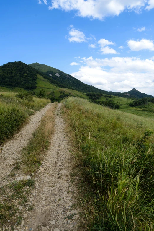 a dirt road in a field near a green hill