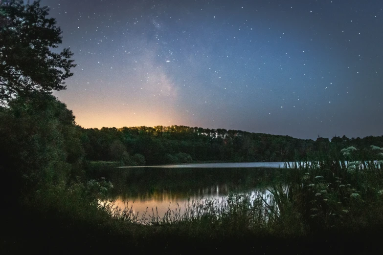 some trees water and stars in the sky