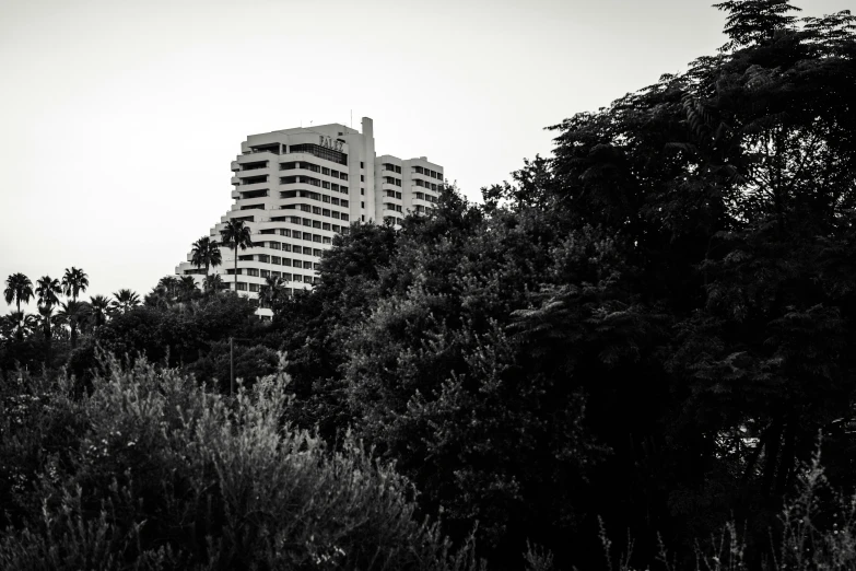 a black and white po of some tall buildings