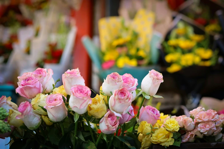 many roses on display in a flower market