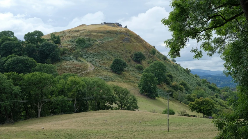a hill with trees and grass on both sides