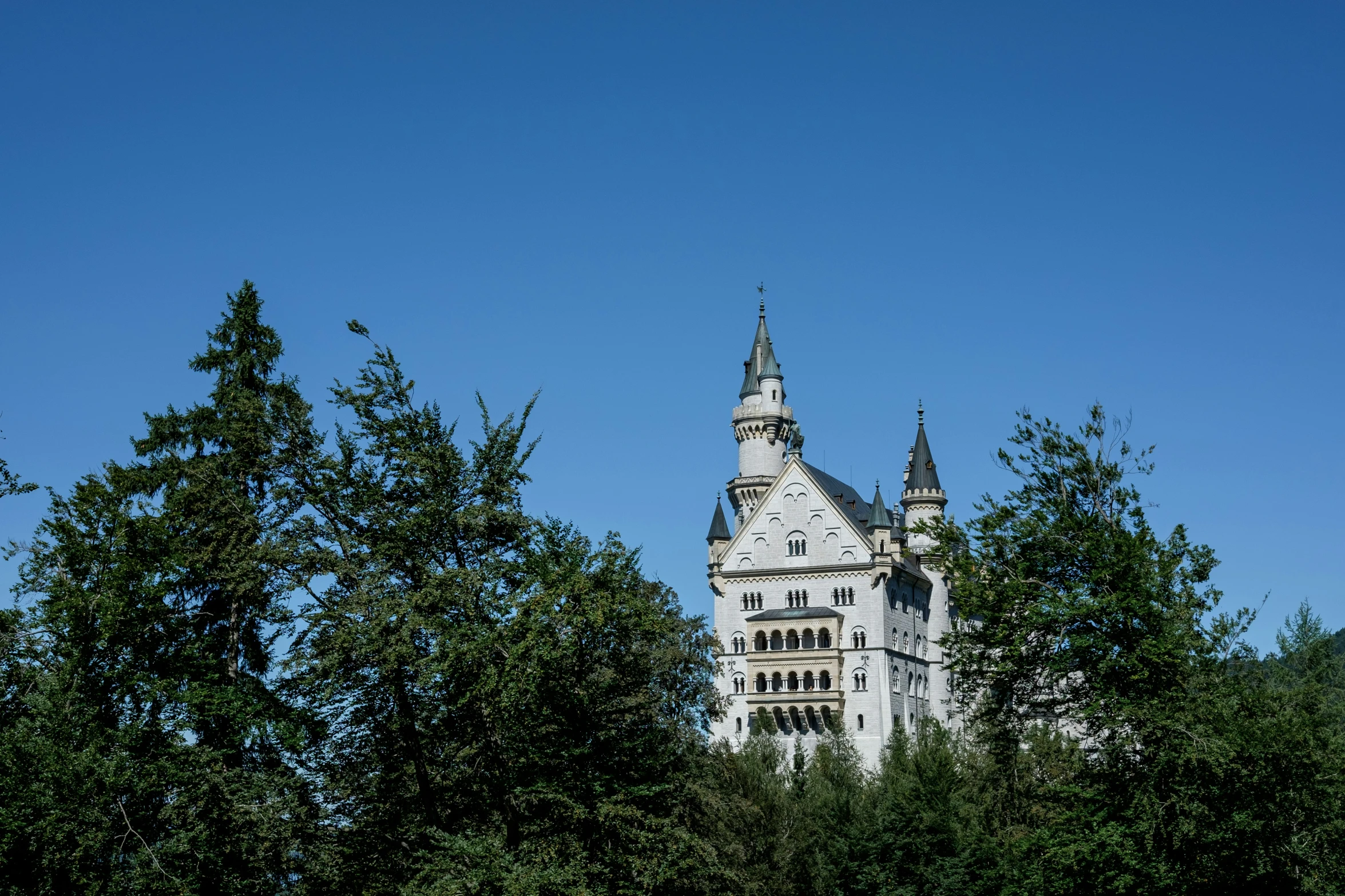 a tall white castle sits among the green trees