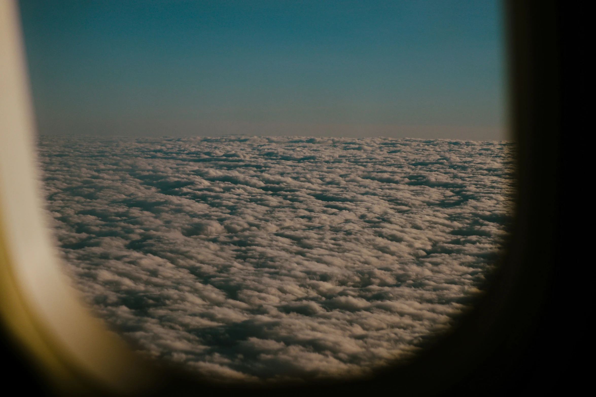 a po looking out the window of an airplane