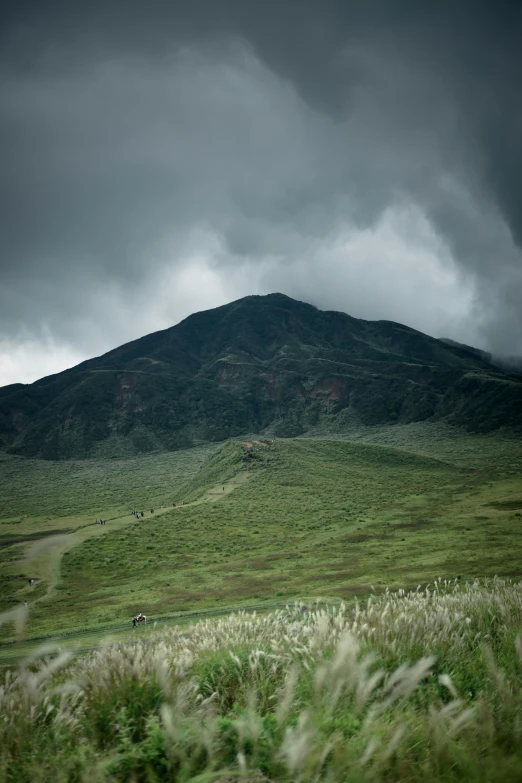 an open field with a mountain and a trail going into it