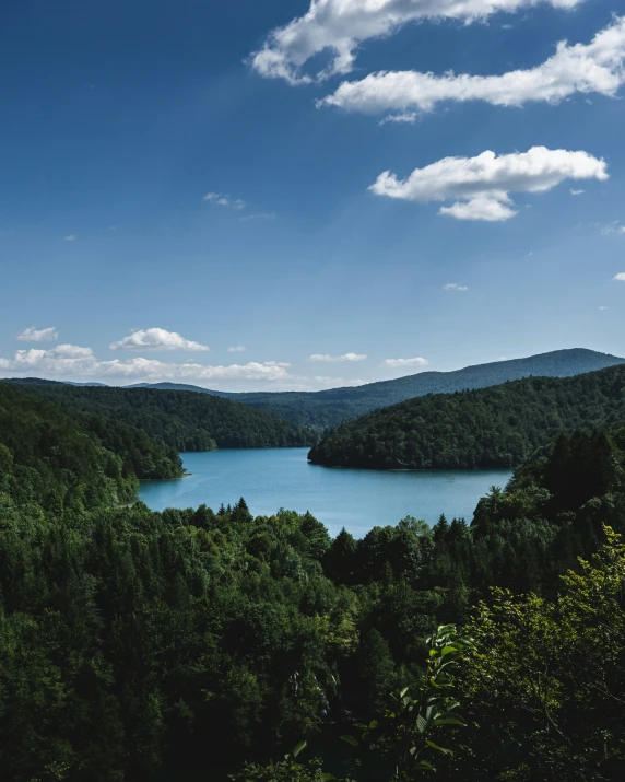 a large lake surrounded by lush green trees