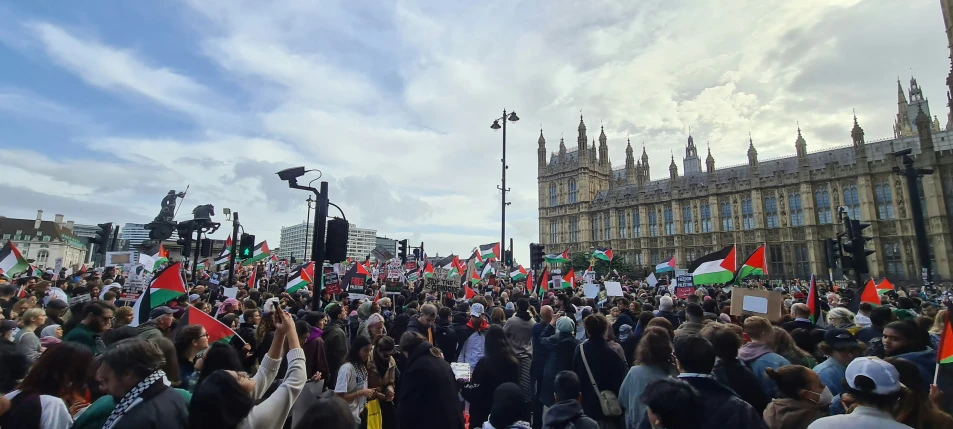 a crowd of people holding flags on a street