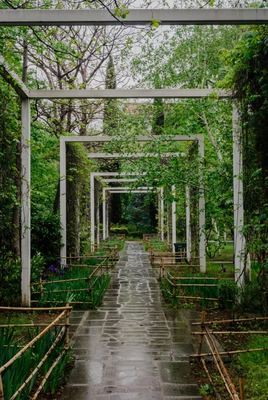 a walkway leads to many benches in the middle