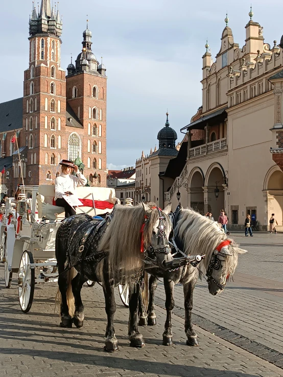 the two horses are pulling a carriage with people