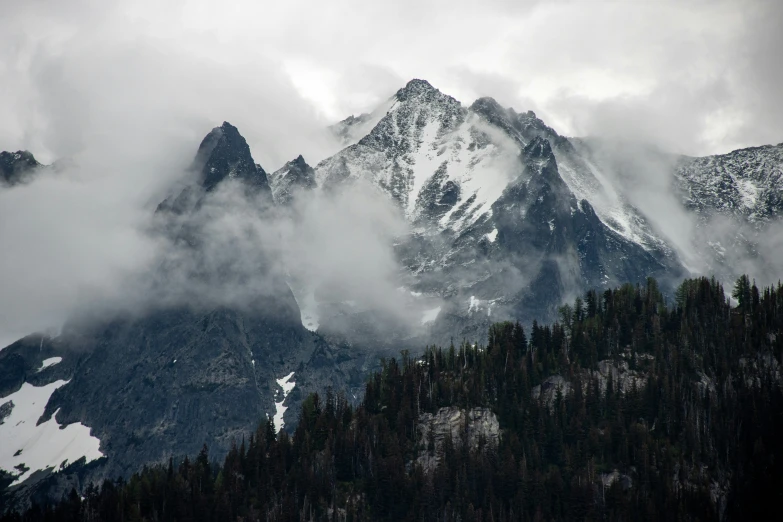 mountains covered in clouds and trees covered with snow