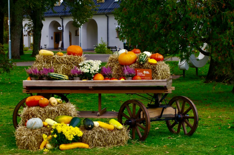 an old wagon filled with pumpkins, mumps and gourds