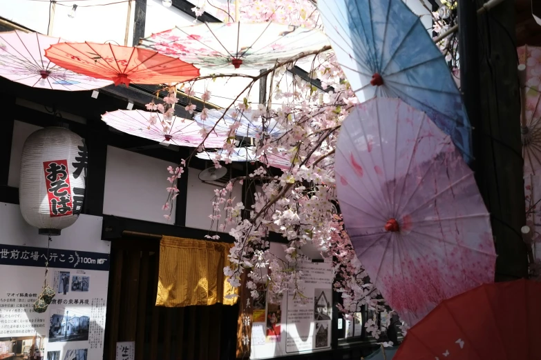 some umbrellas sitting on the side of a wall