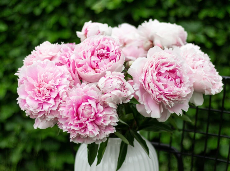 a large bouquet of peonies in a white vase