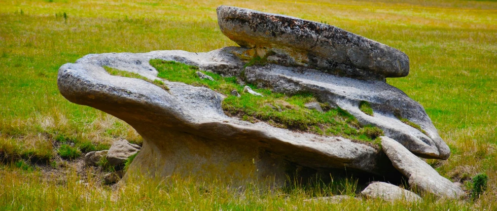 a rock is standing in the middle of a grassy area