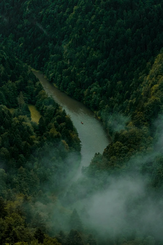 an image of a river through a foggy forest