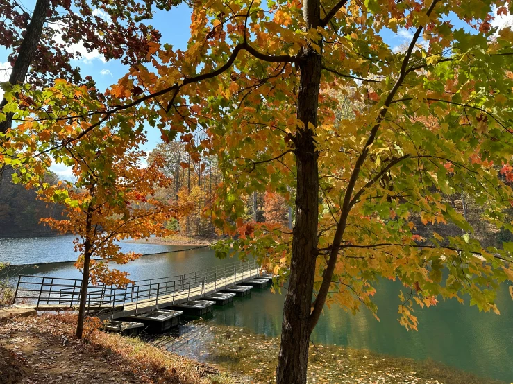 a dock with water and trees surrounding it