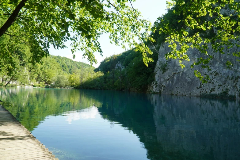 a river that is sitting below some trees