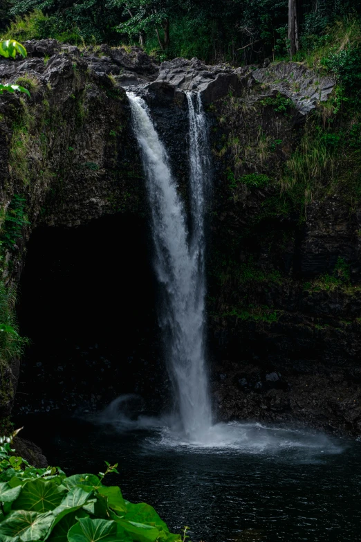 the waterfall with large white water falling out is surrounded by greenery