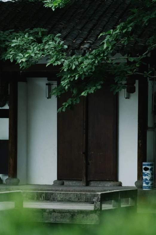 a white building surrounded by green vegetation