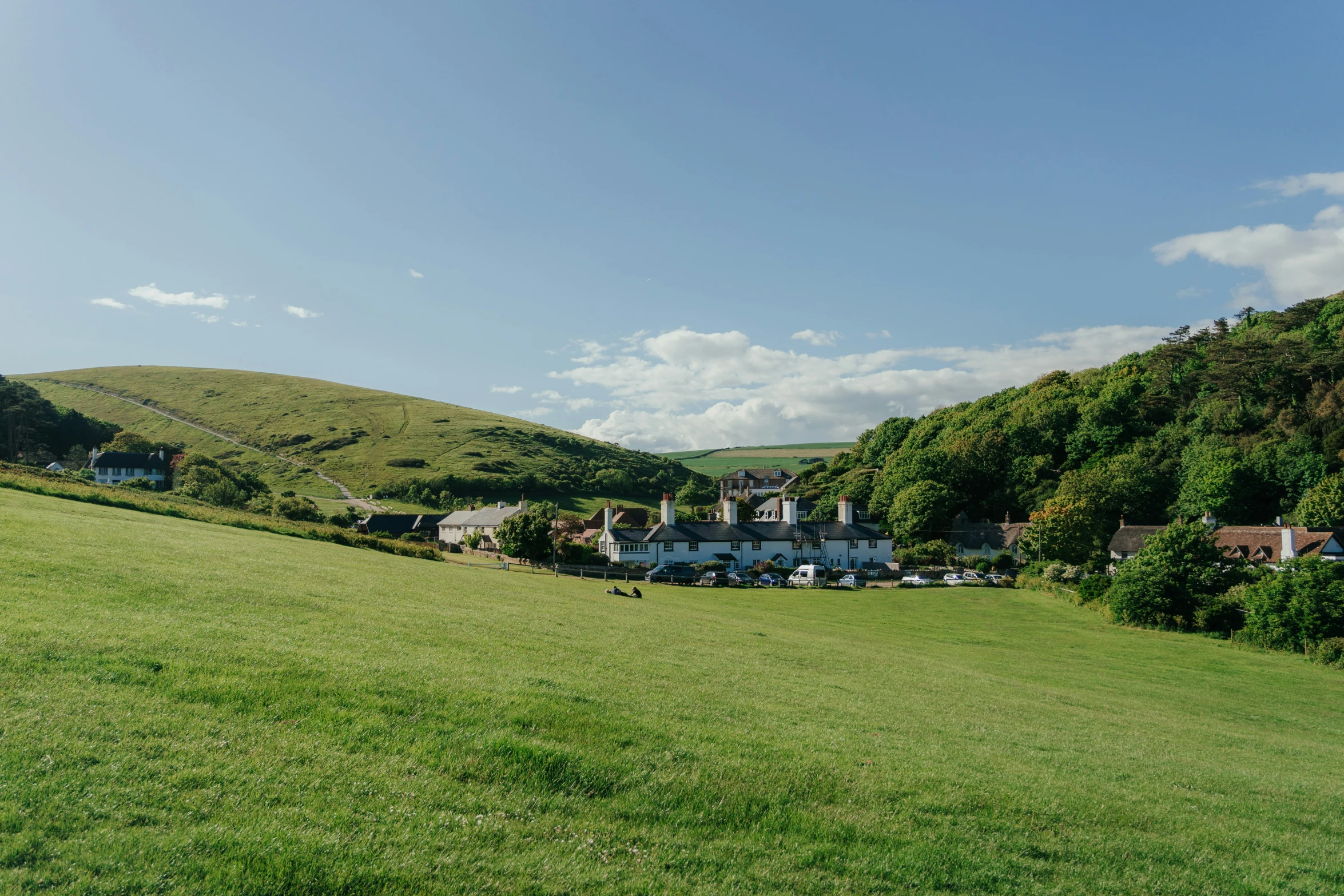 a green hillside covered in a lush green field