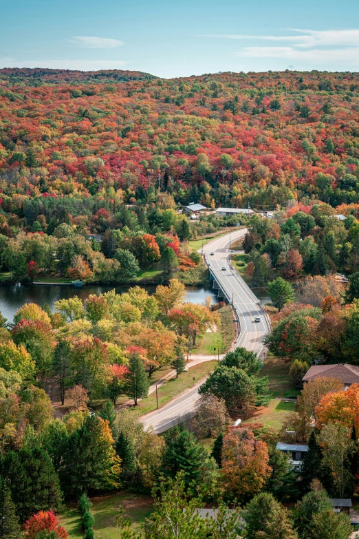 a road with fall foliage surrounding it and in the background the river flows from its edge