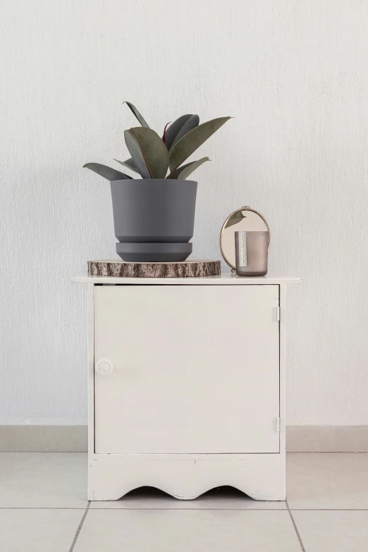 a small cabinet is shown with a plant in the middle