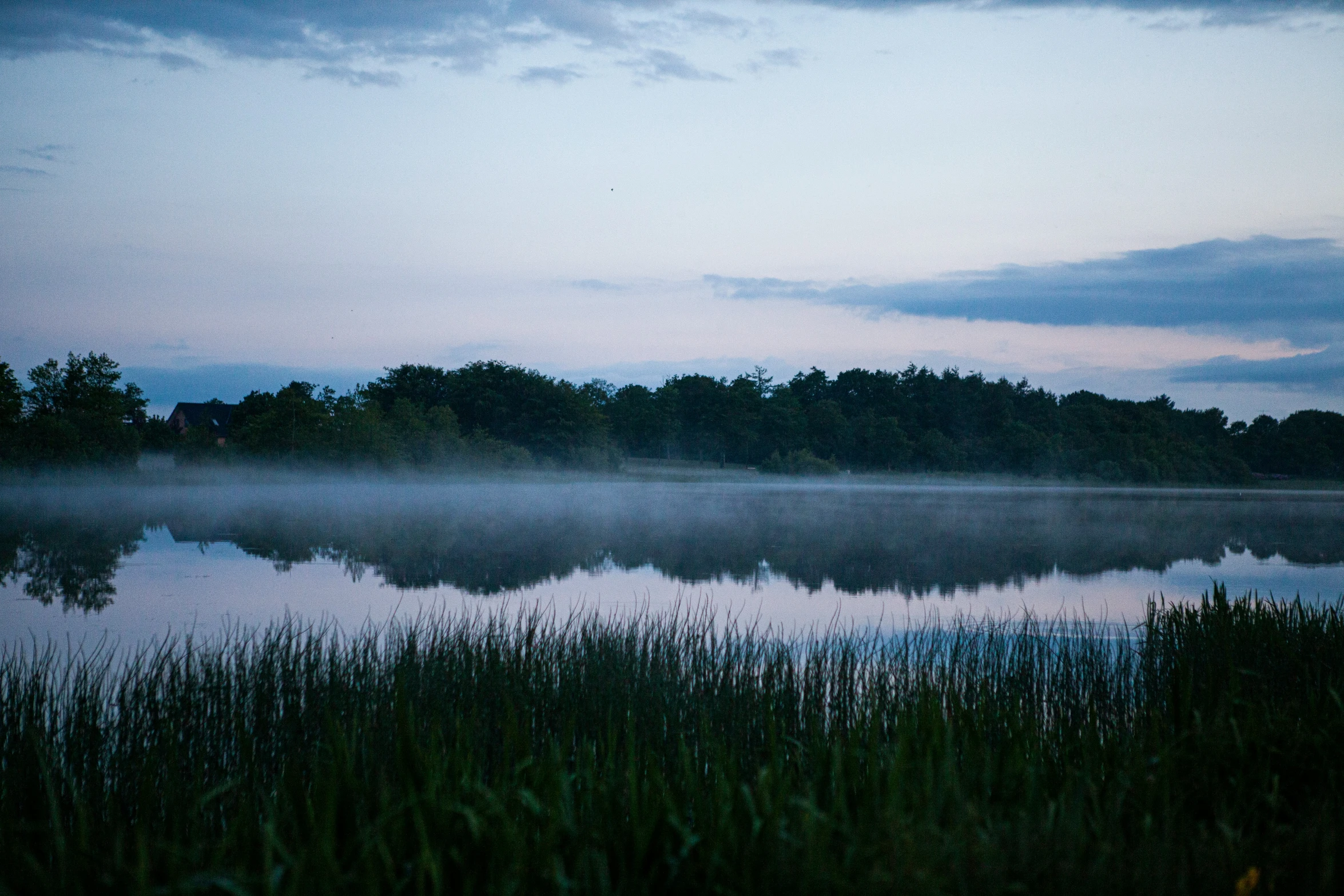 a foggy sky reflecting the woods in the water