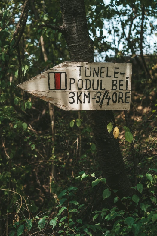 a sign is hanging on a tree with an upside down arrow