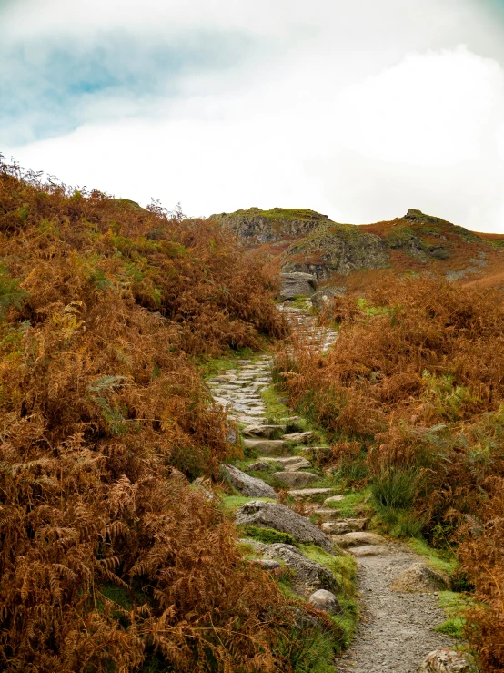 an abandoned pathway with rocky steps through it in the mountains