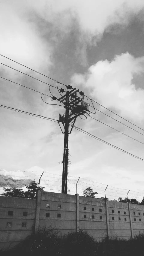 a tall tree is in front of a wall with power lines