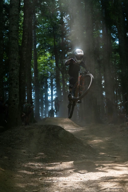 a motorcyclist doing a trick in the middle of a forest