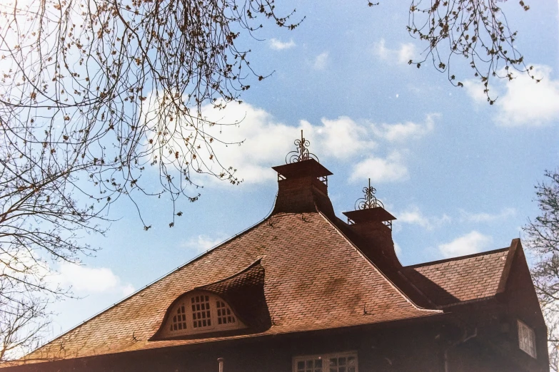 the top of the building has an interesting roof