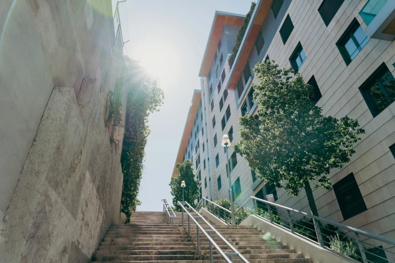 some steps going down into a building with trees