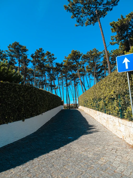 a walk way leading up a hill toward trees