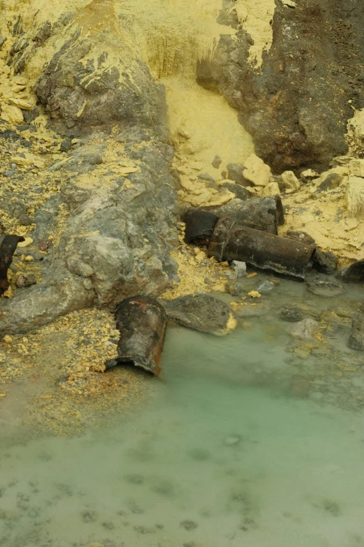 two animals bathing in some water at the rocks